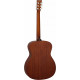 TANGLEWOOD TC3