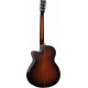TANGLEWOOD TWX4 CEK