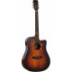 TANGLEWOOD TWX5 CEK