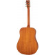 TANGLEWOOD TR5