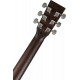 TANGLEWOOD TWCR-D