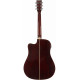 TANGLEWOOD TW5 CE AVB