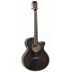 TANGLEWOOD TW4 CE BS