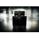 BAD CAT LYNX 2X12 EXTENSION CABINET