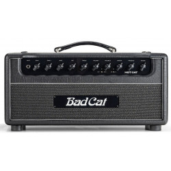 BAD CAT HOT CAT HEAD