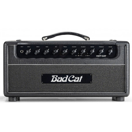 BAD CAT HOT CAT HEAD