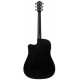IBANEZ V44CE WK