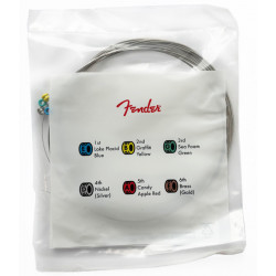 FENDER 150L Transparent Pack
