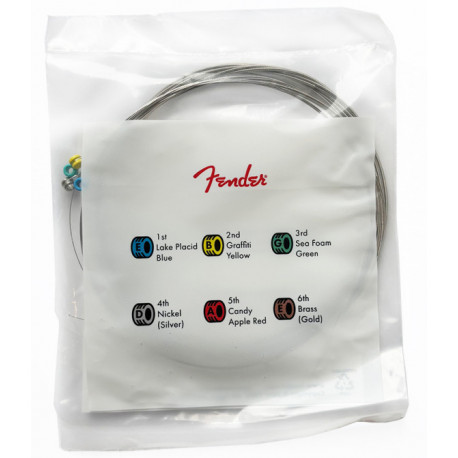FENDER 150L Transparent Pack
