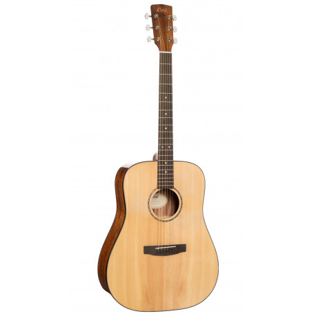 CORT EARTH 60 (Natural Gloss)