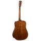 CORT EARTH 60 (Natural Gloss)