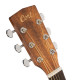 CORT EARTH 60 (Natural Gloss)