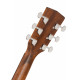 CORT EARTH 60 (Natural Gloss)