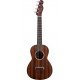 FENDER UKULELE PA INA TENOR