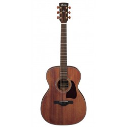 IBANEZ AC2040 OPN