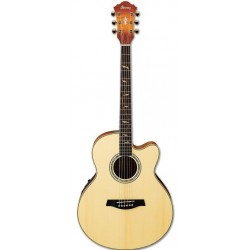 IBANEZ AEL40SE RLV