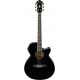 IBANEZ AEG30II BK