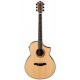 IBANEZ AEW21VK NT