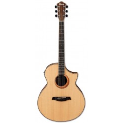 IBANEZ AEW21VK NT