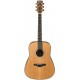 IBANEZ AW250ECE LG