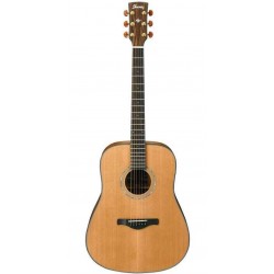 IBANEZ AW250ECE LG