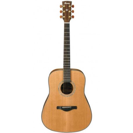 IBANEZ AW250ECE LG