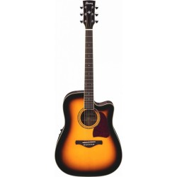 IBANEZ AW300ECE VS
