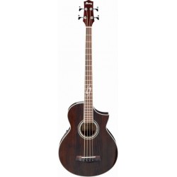 IBANEZ EWB20WNE NT
