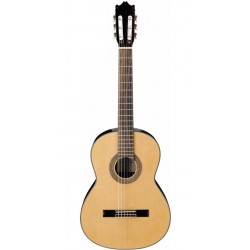 IBANEZ G-100 NT