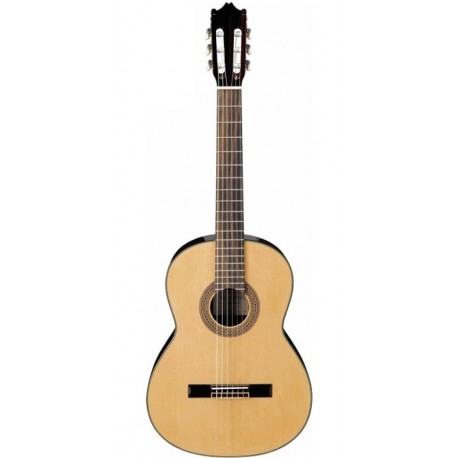 IBANEZ G-100 NT
