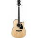 IBANEZ PF15ECE NT