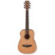 IBANEZ PF58 OPN