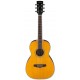 IBANEZ PN15 ATN
