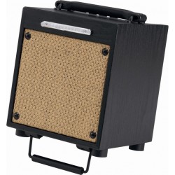 IBANEZ T10