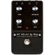 Moog Minifooger Analog Delay