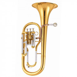 Amati AAH 311