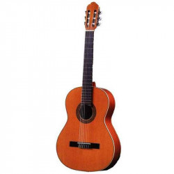 Antonio Sanchez 1005 Cedar