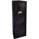 PEAVEY PV 215