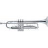 J.MICHAEL TR-300SA (S) Trumpet