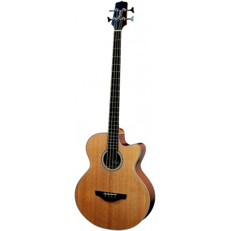 TAKAMINE EG512C