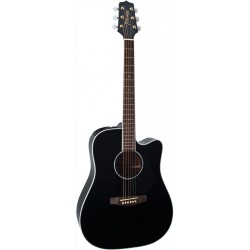 TAKAMINE EG341SC