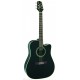 TAKAMINE EG321C-ВК