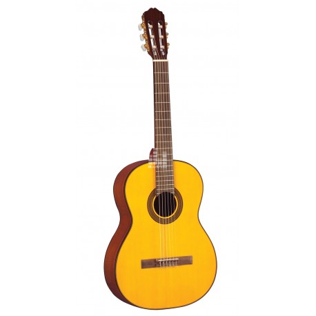 TAKAMINE G124S