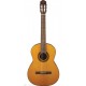 TAKAMINE GC1 NAT