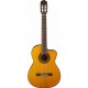 TAKAMINE GC3 NAT