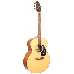 TAKAMINE G220