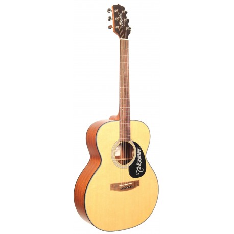 TAKAMINE G220