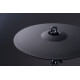 HAMPBACK ACE-530