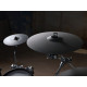 HAMPBACK ACE-1719