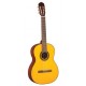 TAKAMINE G124